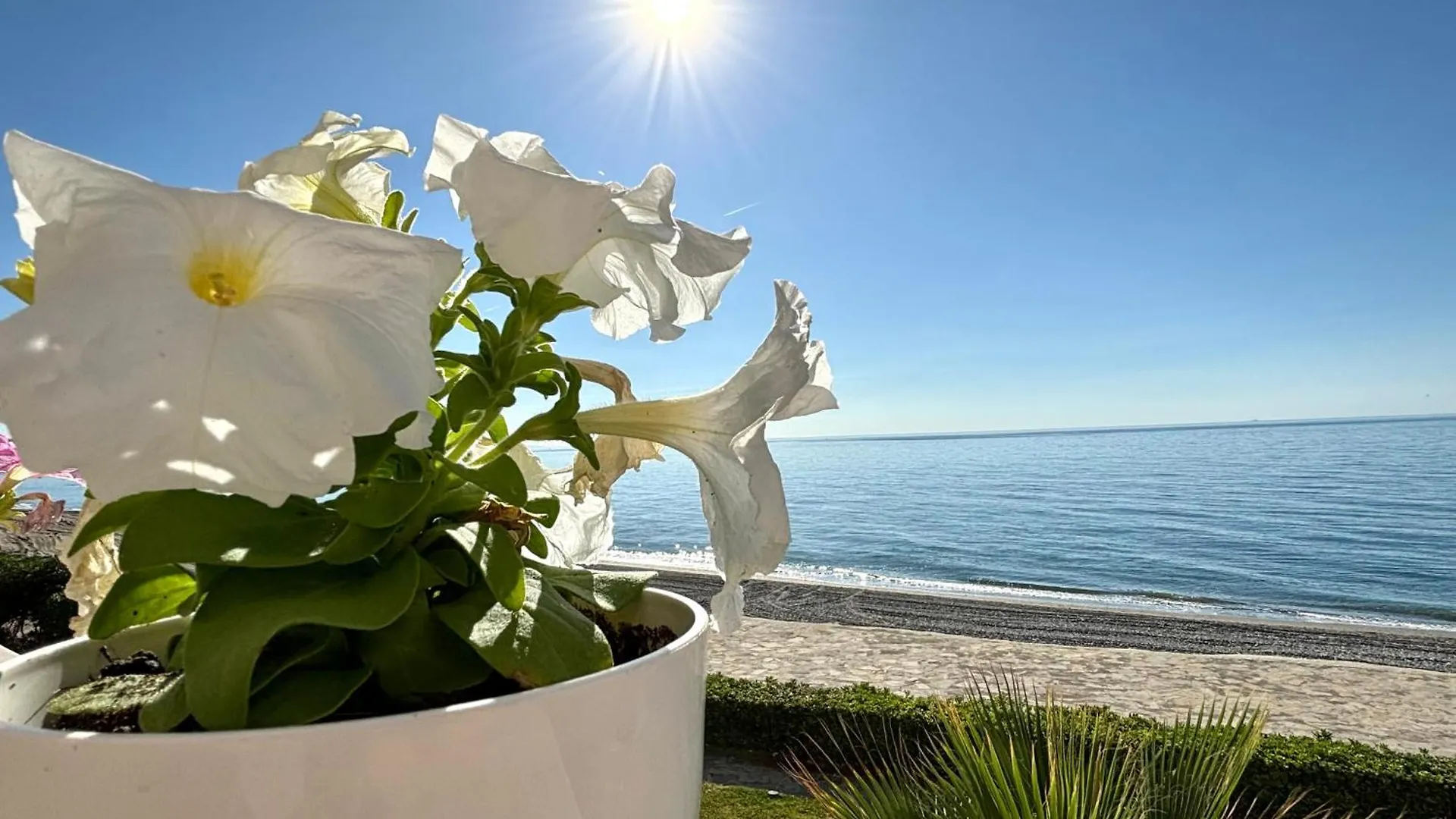 Diletta Beach Estepona Holiday home