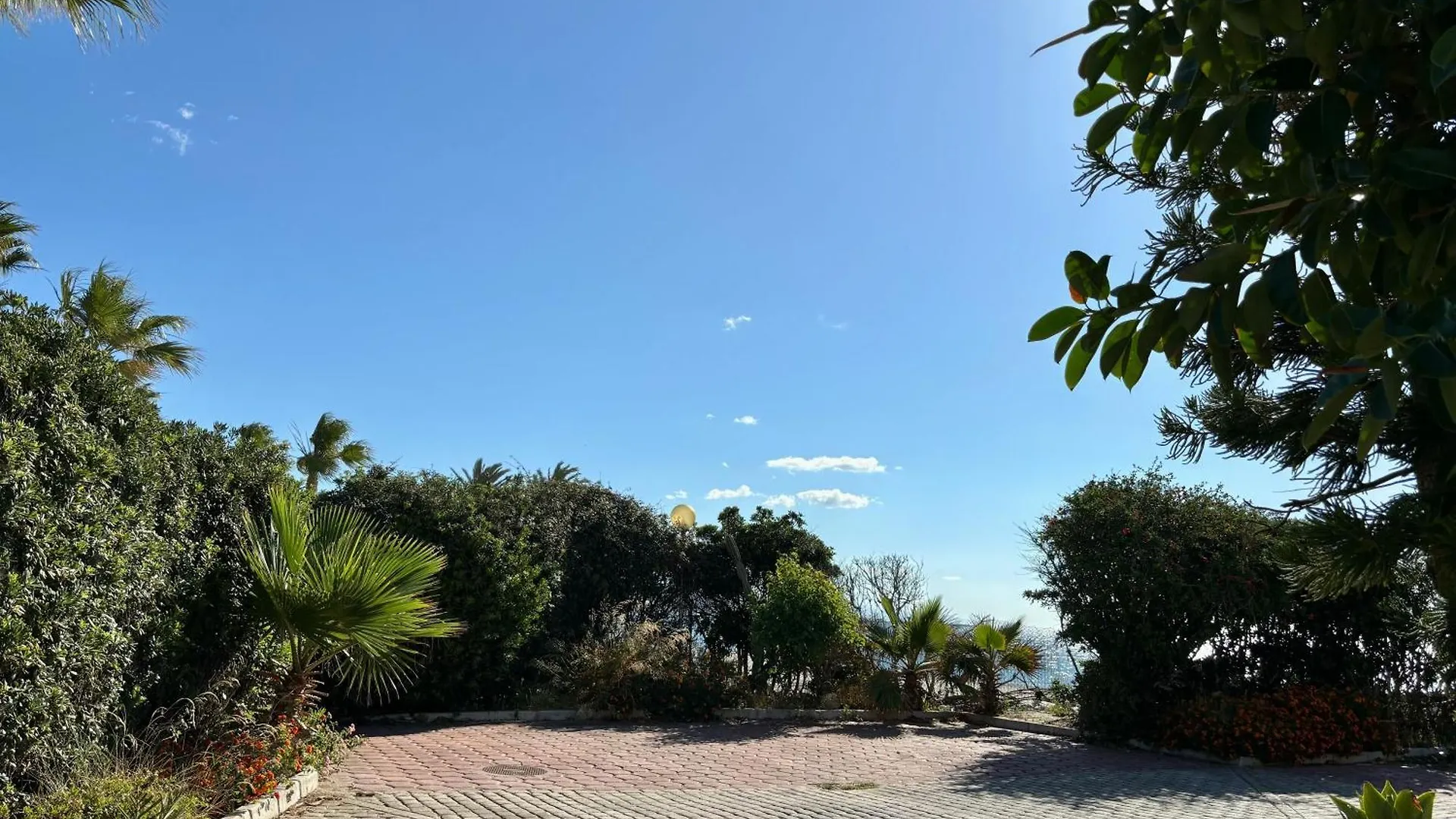 Diletta Beach Estepona
